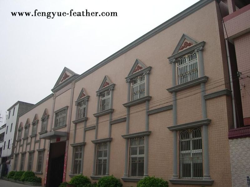 Guangdong Hongfa Import & Export Co., Ltd. linea di produzione del fabbricante