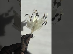 raccolta di montature a piuma